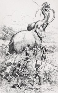 Wooly Mammoth